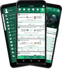 Everything You Need to Know About Betwinner 4 Everything You Need to Know About Betwinner 4
